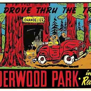 Naklejka podróżna w stylu retro z lat 50. XX wieku przedstawiająca Underwood Park Redwoods Forest w Kalifornii, słynne drzewo