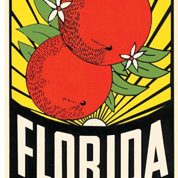 Vintage  1950's style  Florida Land Of Sunshine    retro  travel decal  sticker state map