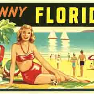 Vintage jaren 1950 stijl Sunny Florida FL strand retro reis sticker staat kaart