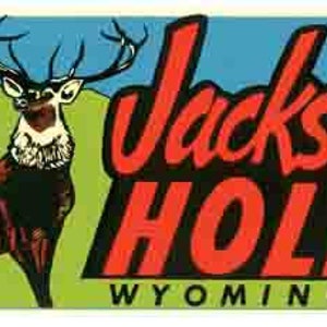 Vintage 1950 Stil Jackson Hole WY Wyoming Nationalpark retro Reise Aufkleber Aufkleber Zustand Karte
