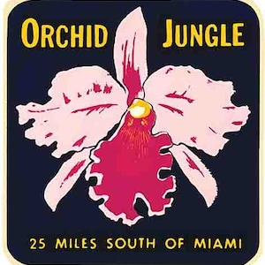 Vintage  1960's style Orchid Jungle Miami Florida FL    retro  travel decal  sticker state map