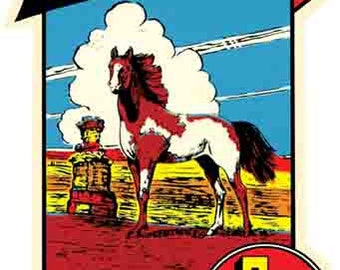 Op de afbeelding: Vintage reis sticker met een wit en bruin wild paard in een rood, geel en blauw landschap. De sticker zegt "Wild Stallion Palo Duro Canyon Texas" en bevat een omtrek van de staat Texas.