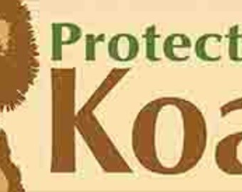 Vintage  1970's style  Protect the Koala Bears Zoo Environmental Conservation wildlife funny  retro  travel decal  bumper sticker