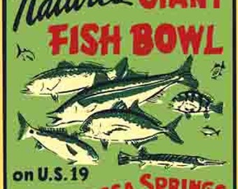 May include: Vintage green and yellow sign with the text "Nature's Giant Fish Bowl" and "Homosassa Springs Florida" on U.S. 19. The sign features a cartoon illustration of various fish.