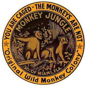 Vintage 1950-talsstil Monkey Jungle Miami Florida FL runt retro reseklistermärke delstatskarta