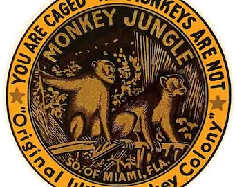 Vintage 50er Jahre Stil Monkey Jungle Miami Florida FL Runde Retro Reise Aufkleber Aufkleber Zustand Karte