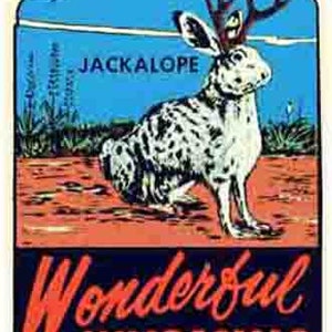 Vintage  1950's style  Yellowstone National Park MT   Wyoming jackalope  retro  travel decal  sticker state map