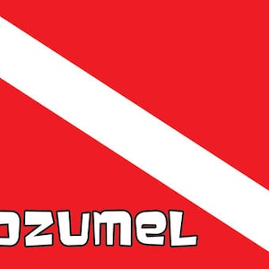 Vintage  style  Dive Cozumel Mexico  Scuba   retro  travel decal  sticker