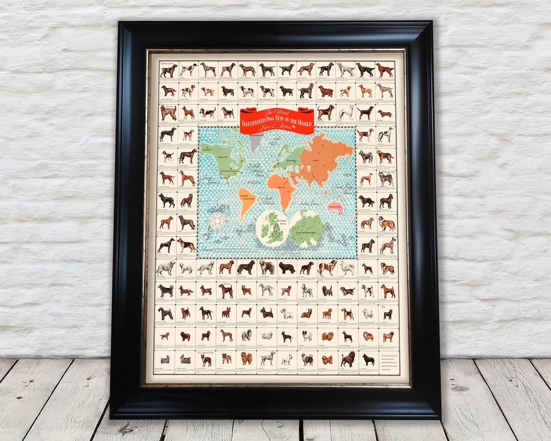 Charming Illustrated DOG MAP of the World Dog Breeds Dog - Etsy