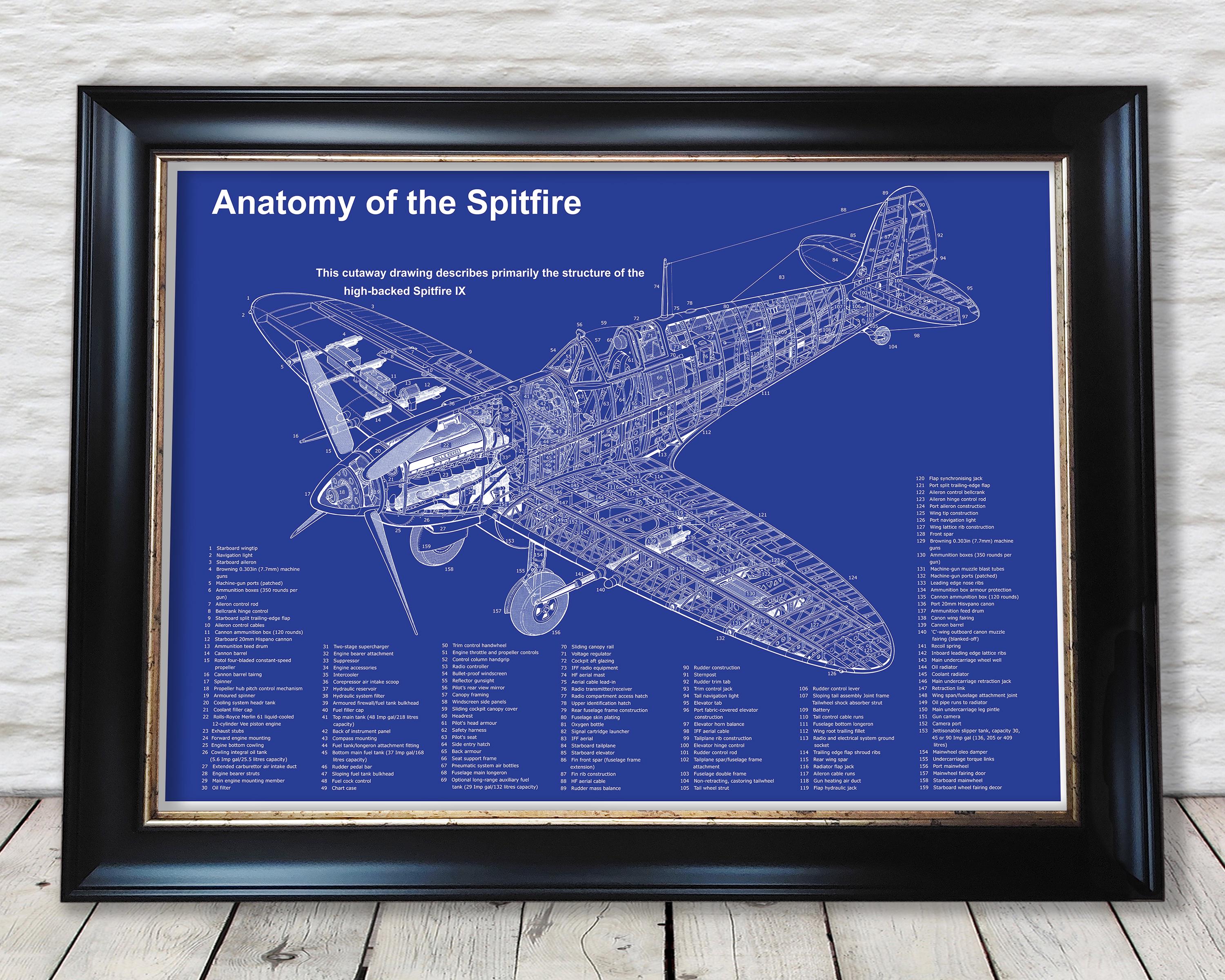 Spitfire Cutaway - Etsy