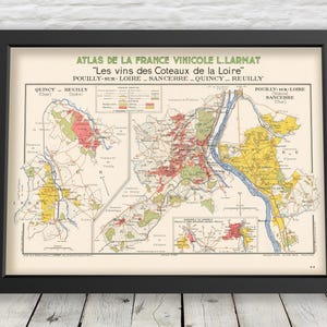 May include: Framed vintage map of the Loire Valley wine region in France. The map, titled "Atlas de la France Vinicole L. Larmat," features detailed illustrations of vineyards and geographical features, with text in French. The frame is black.