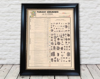 Può includere: Un grafico geologico vintage intitolato "TABLEAU GÉOLOGIQUE par R. FURON" con una linea temporale dei periodi geologici e una collezione di esemplari fossili.