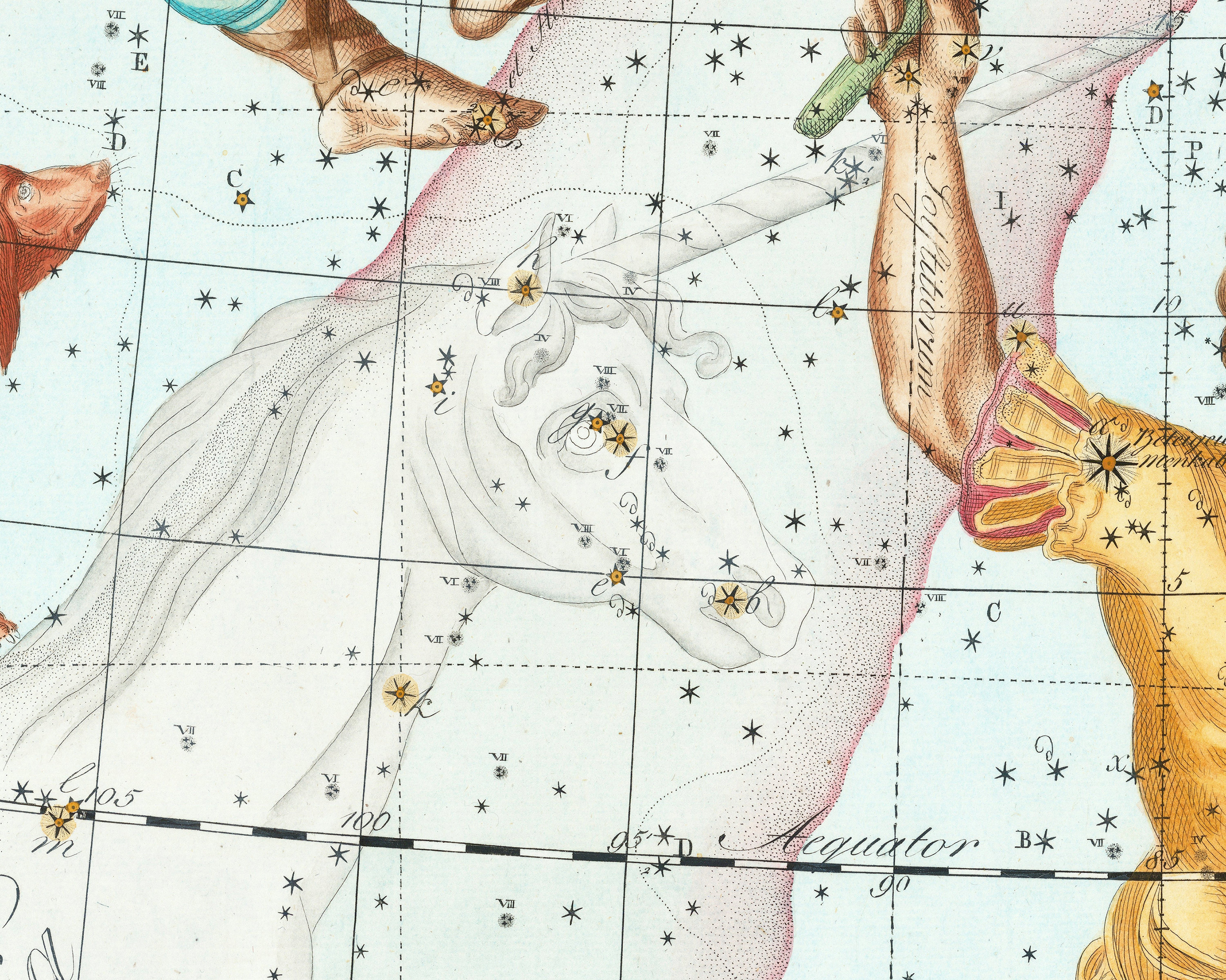 orion-taurus-gemini-constellations-map-by-johann-bode-1801-uranographia