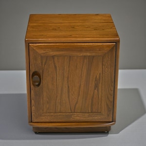 May include: A wooden cabinet in a warm brown hue, featuring a single door with a rounded handle. The wood grain is clearly visible. The door is rectangular with a recessed panel. The cabinet rests on a small base.