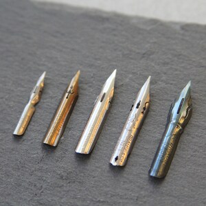 5 Spitzfedern für Kalligraphie / Nikko G / Brause: Steno 361, Rose 76, 66 EF / Hunt 101