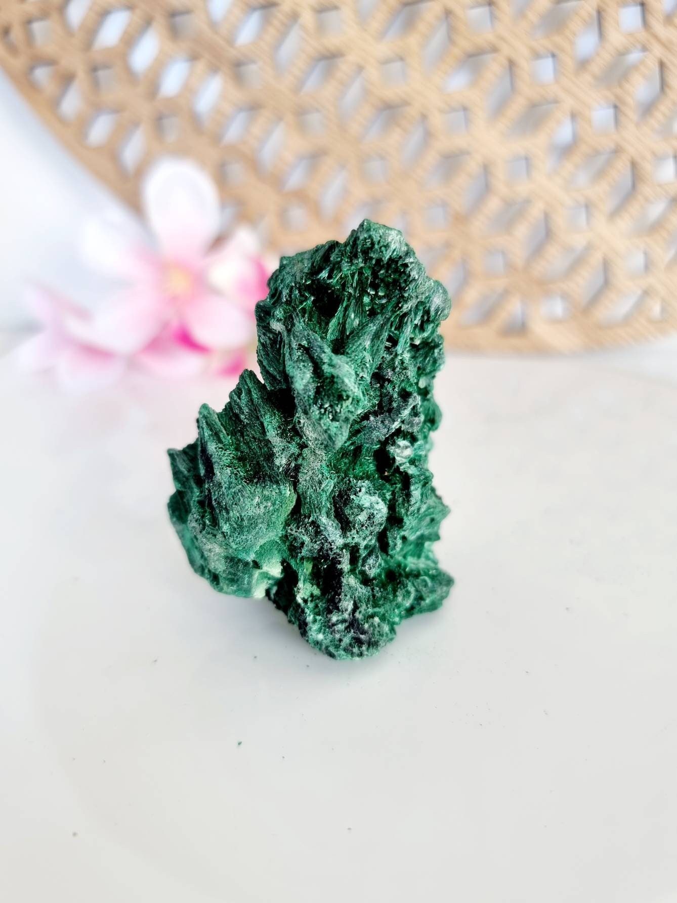 Malachite Fibreuse Du Congo - Cristaux de Guérison - Minéral Naturel de Malachite