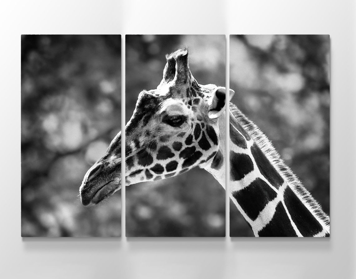 Giraffe Wall Art Animal Wall Art Canvas Print Giraffe Black Etsy