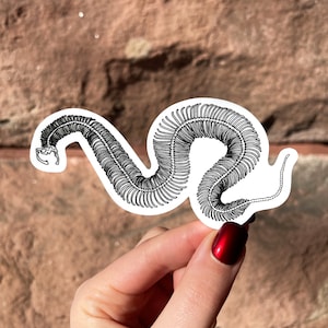 Snake Skeleton Vinyl Die Cut Sticker — Stationary, Animals, Gifts, Bones