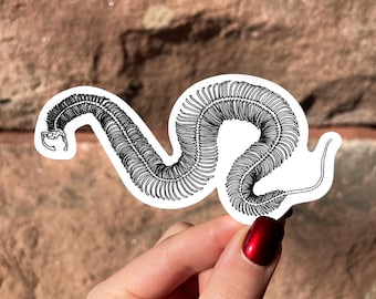 Snake Skeleton Vinyl Die Cut Sticker — Stationary, Animals, Gifts, Bones
