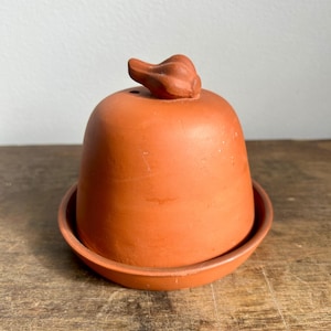Terra Cotta Garlic Roaster with Glazed Base and Lid with Steam Vent | Clay Garlic Holder/Keeper