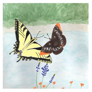 Può includere: Una farfalla swallowtail gialla e nera e una farfalla marrone con accenti arancioni volano vicino a un gruppo di fiori di lavanda.