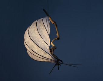 Mariana Trench | Driftwood Sculpture Lamp | Farmhouse Ceiling Light