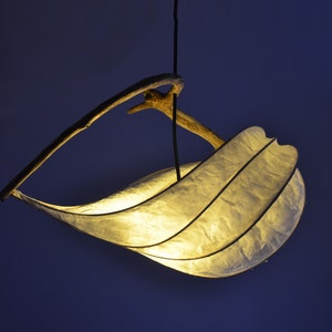 Aqua Pisces | Fish Sculpture Light | Farmhouse Ceiling Lamp