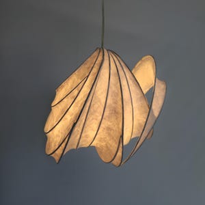 Aureole Paper Lamp | Pendent Light
