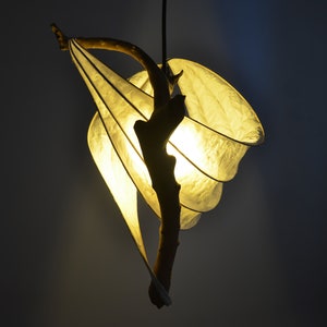 Volance Evis Flying Duck Sculpture Light Driftwood Lamp image 4