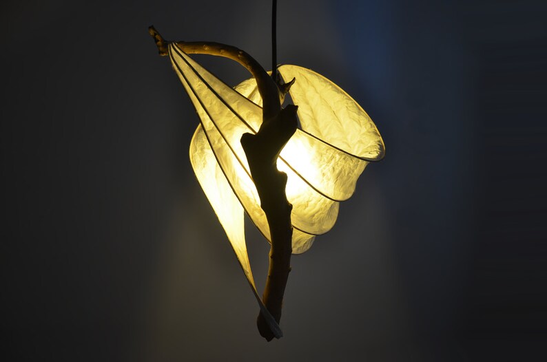 Volance Evis Flying Duck Sculpture Light Driftwood Lamp image 4