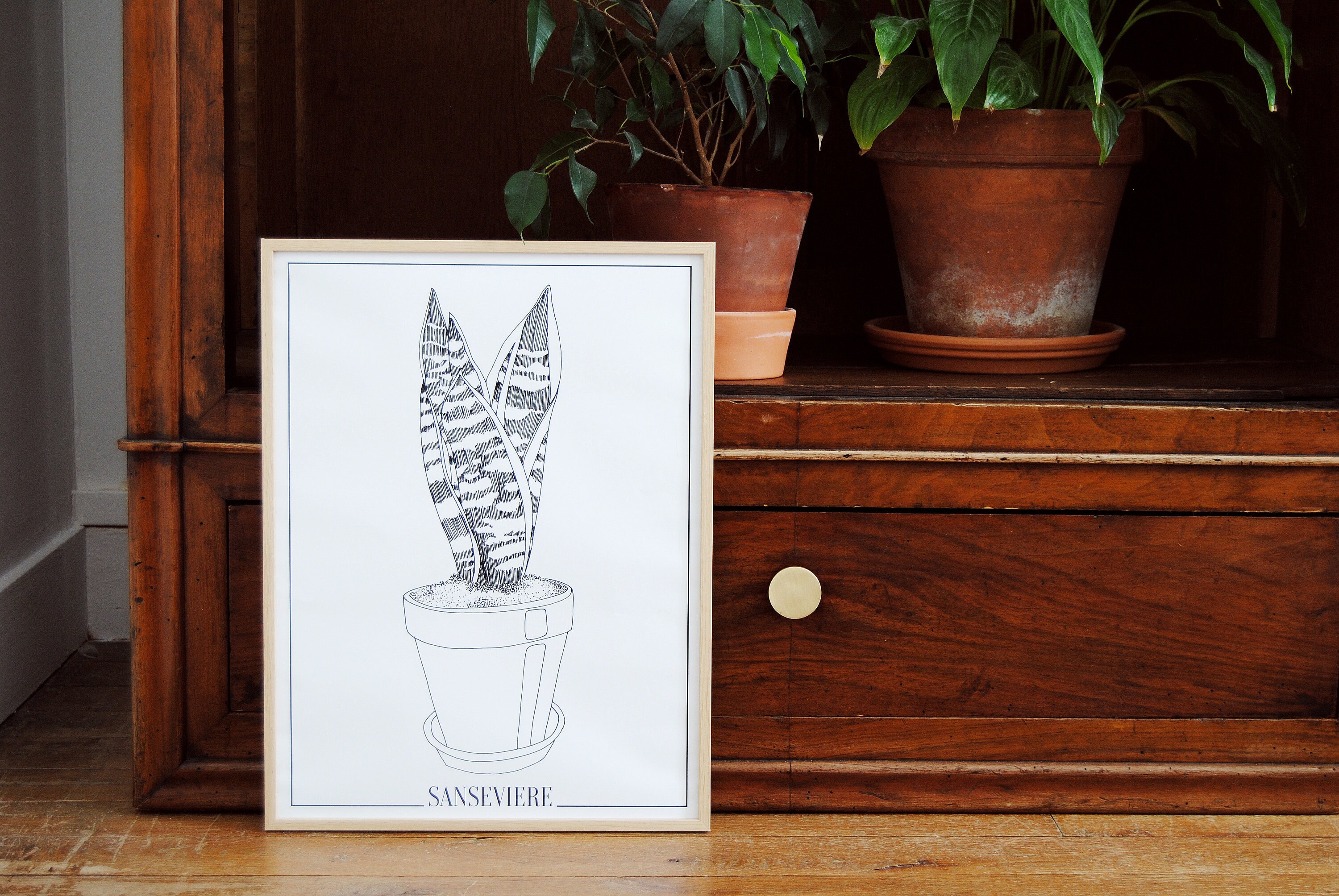 Sanseviere en Pot Illustration Plante Affiche Botanique Poster Noir et Blanc Décoration Murale Maiso