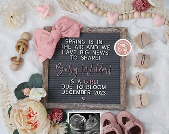 Girl Spring Pregnancy Announcement Digital, Boho Floral Baby Announcement, Editable Its a Girl Template, Spring is in Air, Big News to Share