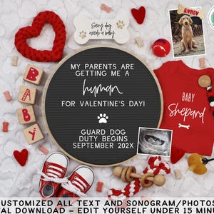 Puede incluir: Un anuncio de embarazo con un tema rojo y blanco. El anuncio incluye un tablero de letras con el texto "Mis padres me est&aacute;n consiguiendo un humano para el D&iacute;a de San Valent&iacute;n! El deber de perro guardi&aacute;n comienza en septiembre de 202X". Tambi&eacute;n hay corazones rojos, un mameluco rojo para beb&eacute; con el texto "Beb&eacute; Shepard" y una imagen de ultrasonido.