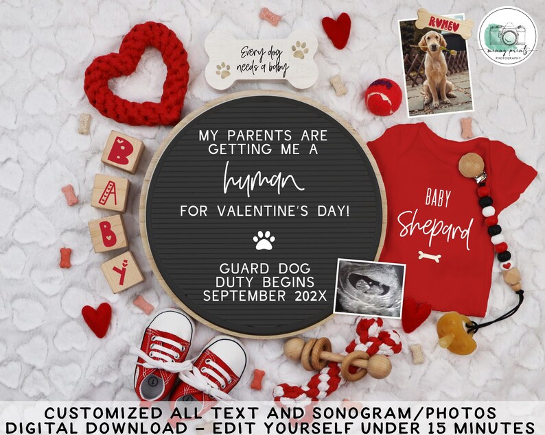 Puede incluir: Un anuncio de embarazo con un tema rojo y blanco. El anuncio incluye un tablero de letras con el texto "Mis padres me est&aacute;n consiguiendo un humano para el D&iacute;a de San Valent&iacute;n! El deber de perro guardi&aacute;n comienza en septiembre de 202X". Tambi&eacute;n hay corazones rojos, un mameluco rojo para beb&eacute; con el texto "Beb&eacute; Shepard" y una imagen de ultrasonido.
