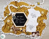 Bee Twins Pregnancy Announcement Digital, Bumble Honey Bee Twin Reveal, Spring Twins Gender Neutral Template, We can't bee-lieve it Twins Il_170x135