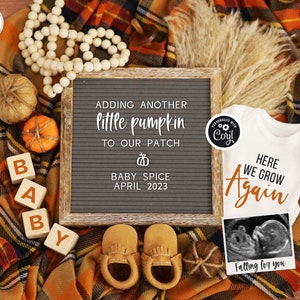 Digital Pregnancy Announcement, Fall 2nd 3rd 4th Etc Pregnancy Reveal, Here We Grow Again Baby Announcement, Adding Another Pumpkin to Patch