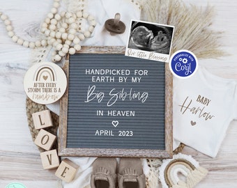 Neutral Rainbow Baby Pregnancy Announcement, Editable Boho Handpicked from Heaven Baby Reveal, After Every Storm There is a Rainbow