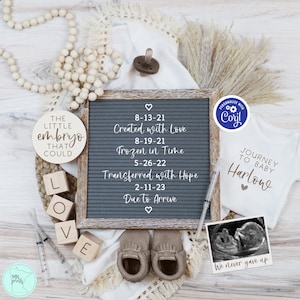 IVF Pregnancy Announcement, Editable Boho Gender Neutral Baby Reveal for Social Media, Digital IUI Baby Announcement, Journey to Baby Reveal