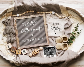 We've Been Keeping a Little Secret Digital Pregnancy Announcement, Boho Gender Neutral Baby Announcement, Editable Baby Reveal Template