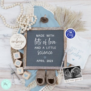 IVF Boy Pregnancy Announcement Digital, IUI It's a Boy Gender Reveal Baby Announcement, Boho Muted Blue Baby Boy Reveal for Social Media