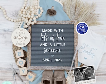 IVF Boy Pregnancy Announcement Digital, IUI It's a Boy Gender Reveal Baby Announcement, Boho Muted Blue Baby Boy Reveal for Social Media