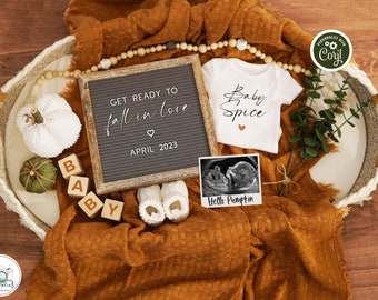 Digital Pregnancy Announcement, Boho Fall in Love Pregnancy Reveal, Autumn Baby Announcement, Social Media Pregnancy Reveal, Hello Pumpkin
