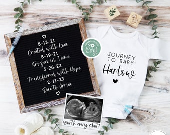 IVF Pregnancy Announcement, Editable Boho Gender Neutral Baby Reveal for Social Media, Digital IUI Baby Announcement, Journey to Baby Reveal