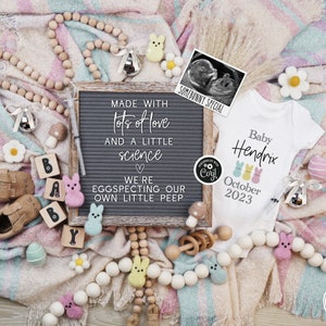 May include: A pregnancy announcement with an ultrasound image, a letter board that reads "Made with lots of love and a little science. We're eggspecting our own little peep", a baby onesie with the text "Baby Hendrix October 2023" and three pastel colored chicks, and a variety of Easter-themed decorations.