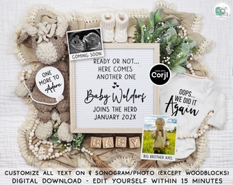 Funny Pregnancy Announcement Digital Boho 2nd 3rd Etc Baby Announcement Sibling Unexpected Social Media Reveal Editable Instant Download