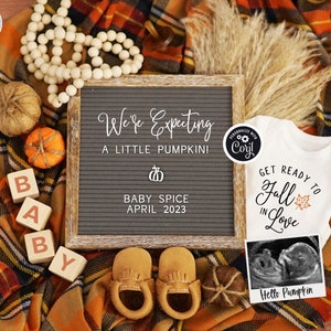 Digital Pregnancy Announcement, Fall in Love Boho Pregnancy Reveal, Autumn Little Pumpkin Baby Announcement, Social Media Pregnancy Reveal