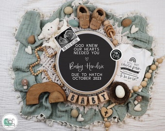Easter Pregnancy Announcement Digital, Christian Isaiah 66:9 Baby Reveal, Spring Gender Neutral Template, God Knew Our Hearts Needed You