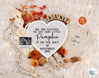 Fall Pregnancy Announcement Digital Autumn Baby Announcement Social Media Boy Gender Reveal Girl Neutral Baby Announcement Little Pumpkin