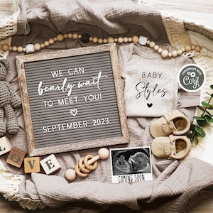Boho 'Bearly Wait' Pregnancy Announcement: Gender Neutral, Social Media (Digital) image 1
