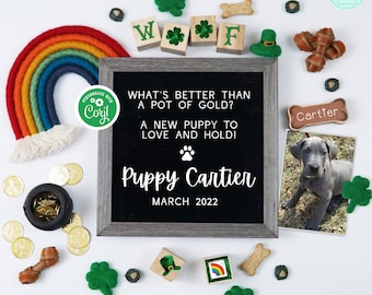 St. Patrick's Day Puppy Announcement Digital, Editable Rainbow St. Paddy's Day Social Media Dog Reveal, Better Than a Pot of Gold, New Puppy